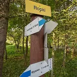 W Ropki