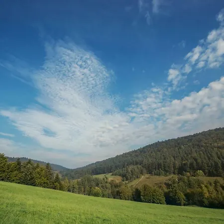 W بيت ضيافة *