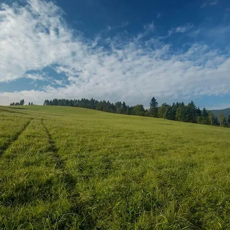 W بيت ضيافة *