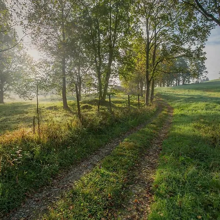 بيت ضيافة W *