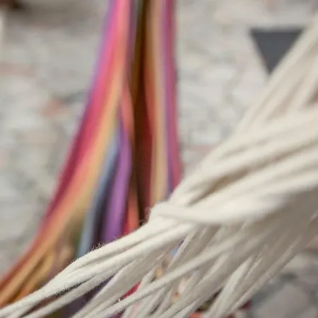 بيت ضيافة W