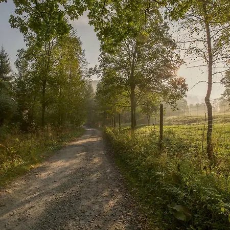 W بيت ضيافة *