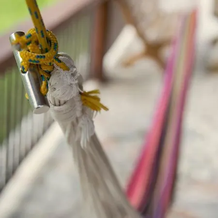 بيت ضيافة W *