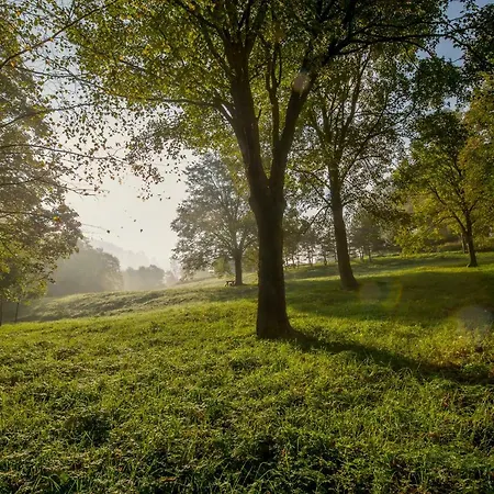 بيت ضيافة W *